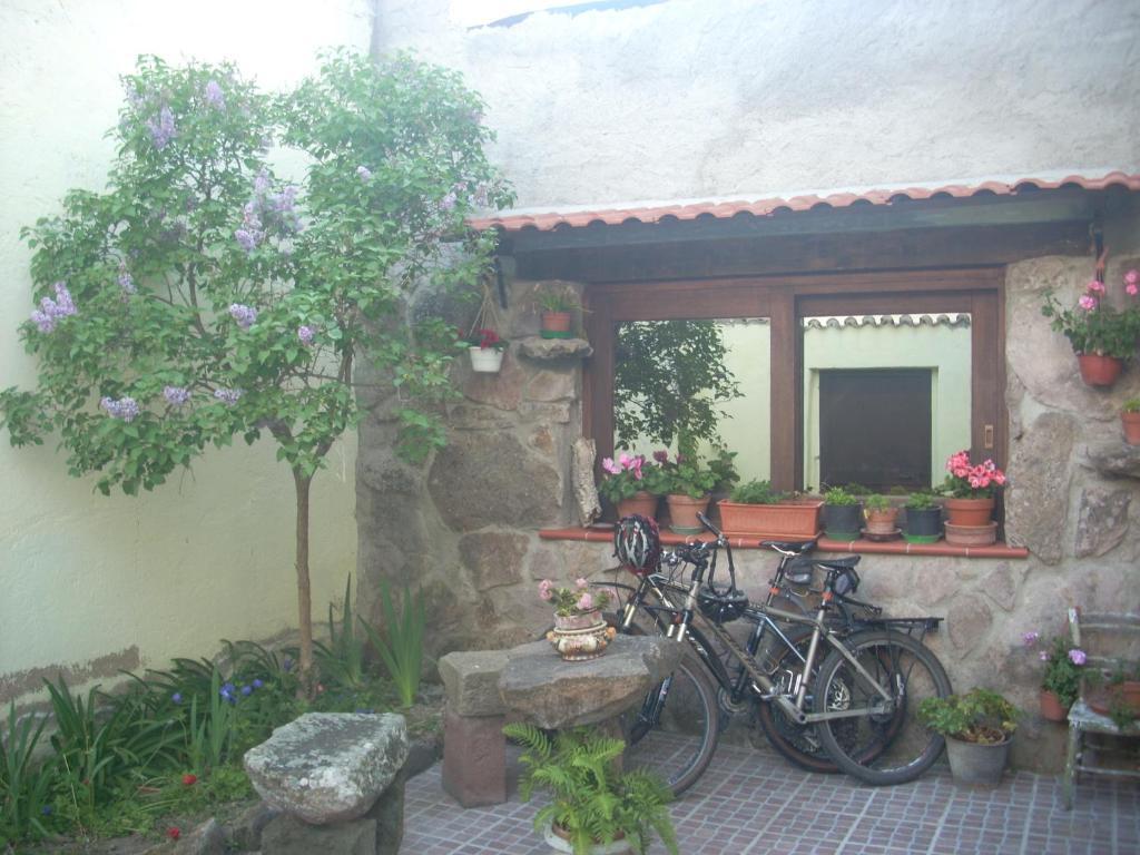 Sa Rosa E Su Trapperi Bed & Breakfast Oschiri Bagian luar foto